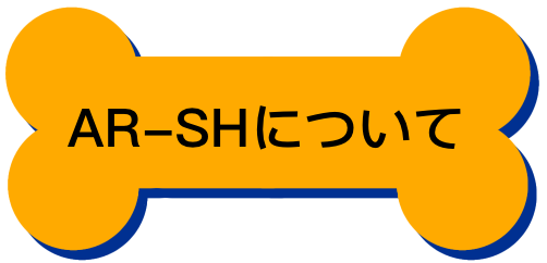 AR-SHについて